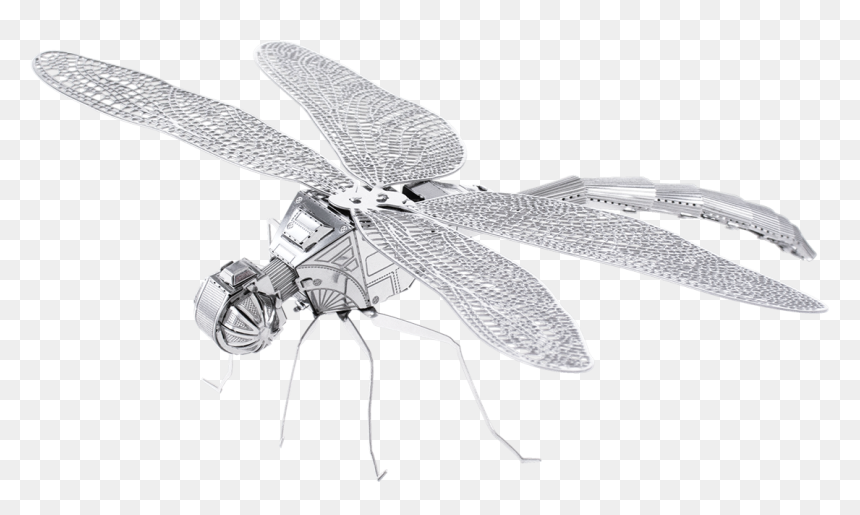 Metal Earth Bugs - Metal Earth 3d Models Dragonfly, HD Png Download - dragonfly wings png