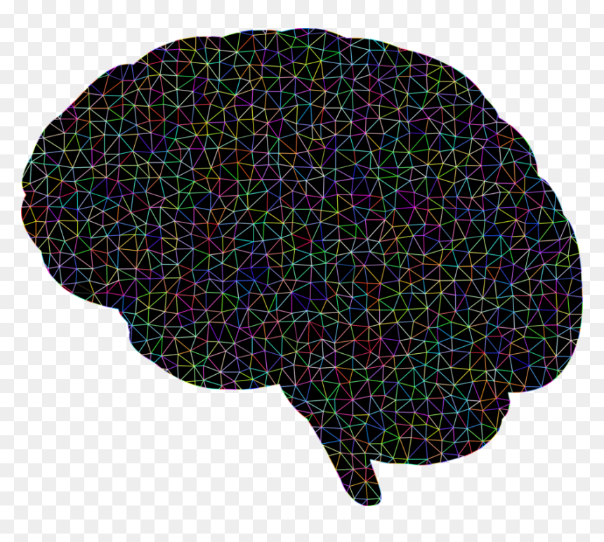 Purple,organism,tree - Human Brain, HD Png Download - neurons png