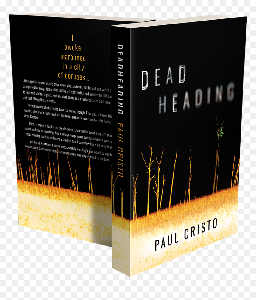 Deadheading 3d Transparent - Book Cover, HD Png Download - cristo png