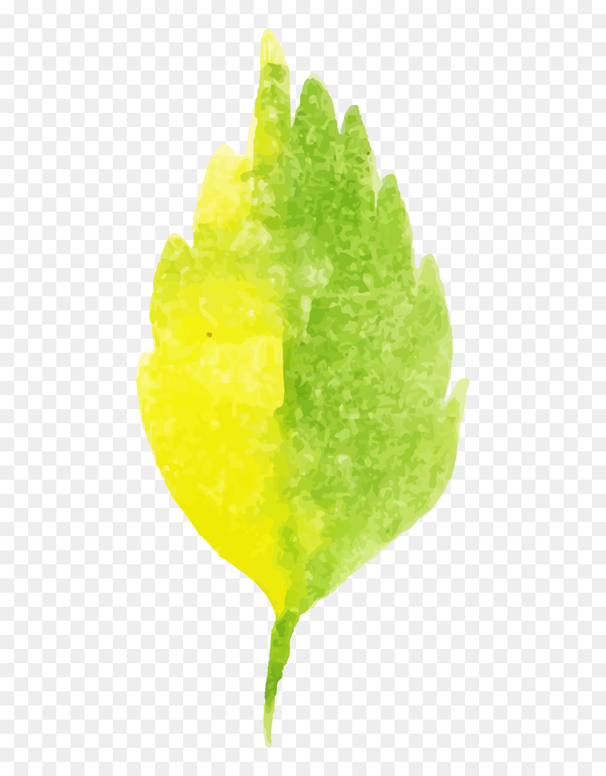 Macro Photography, HD Png Download - yellow watercolor png
