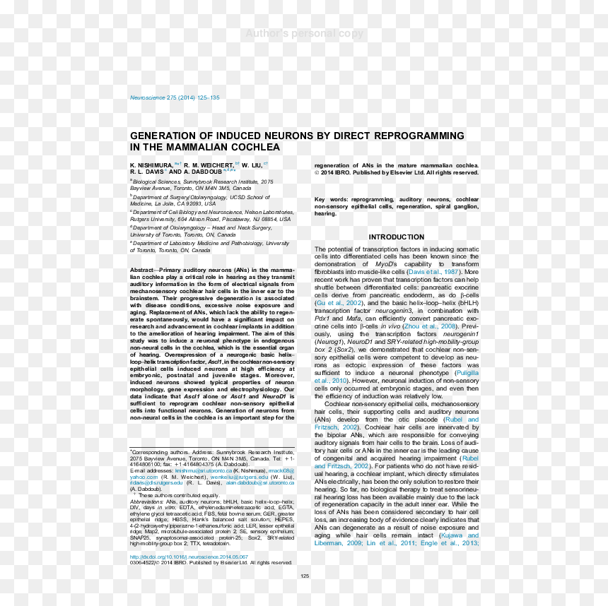 Generation Of Induced Neurons By Direct Reprogramming - Basilica Of Bom Jesus, HD Png Download - neurons png
