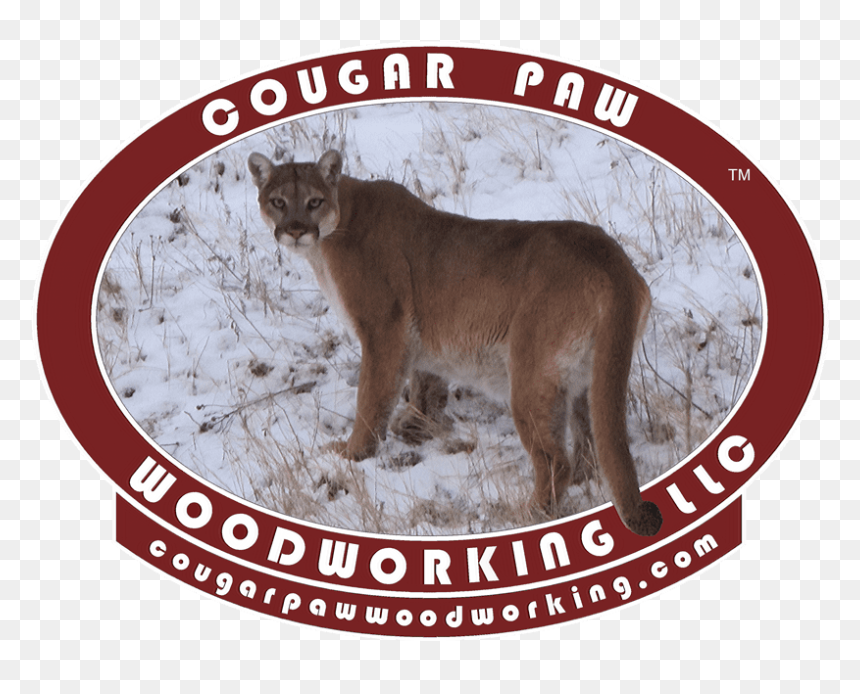 Euro Corner Skull Mounts - Cougar, HD Png Download - skull border png