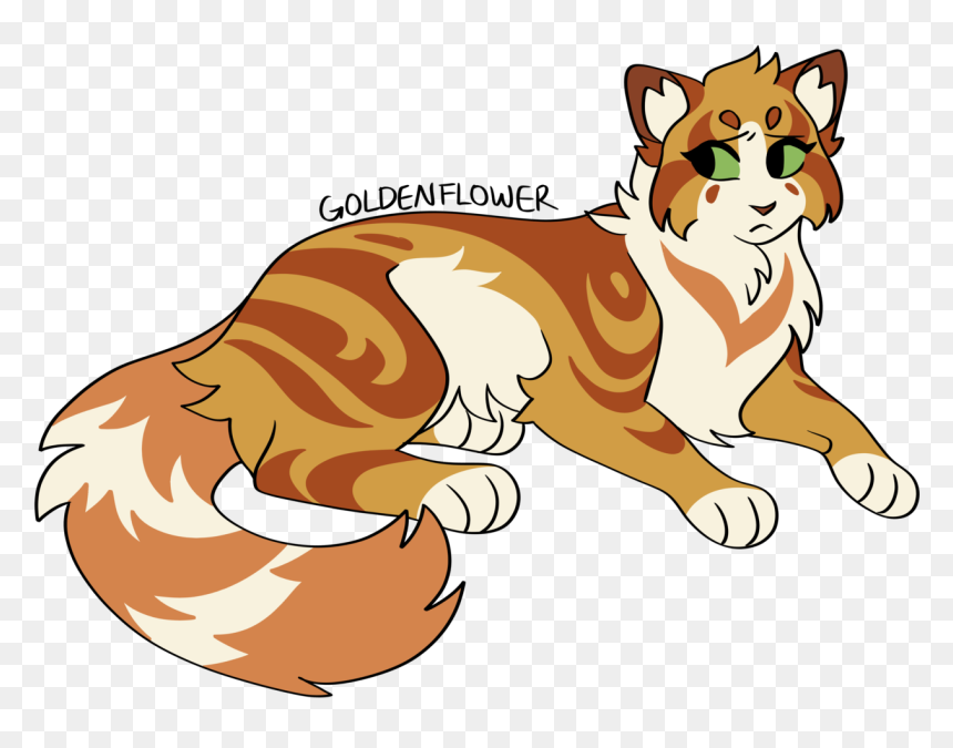 Warrior Cats Goldenflower Design, HD Png Download - tumblr cat png