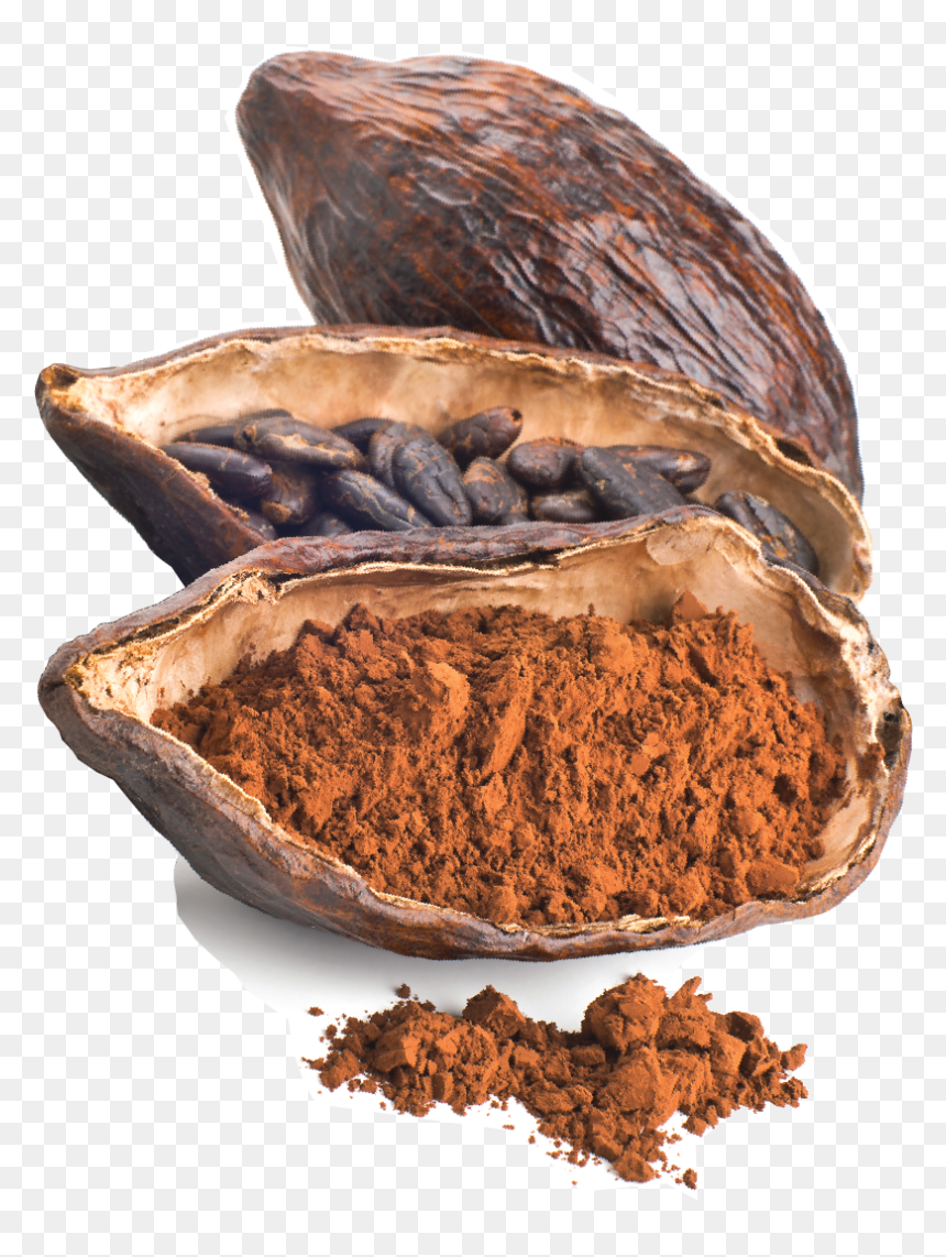 Cacao , Png Download - Transparent Cacao Png, Png Download - cacao png