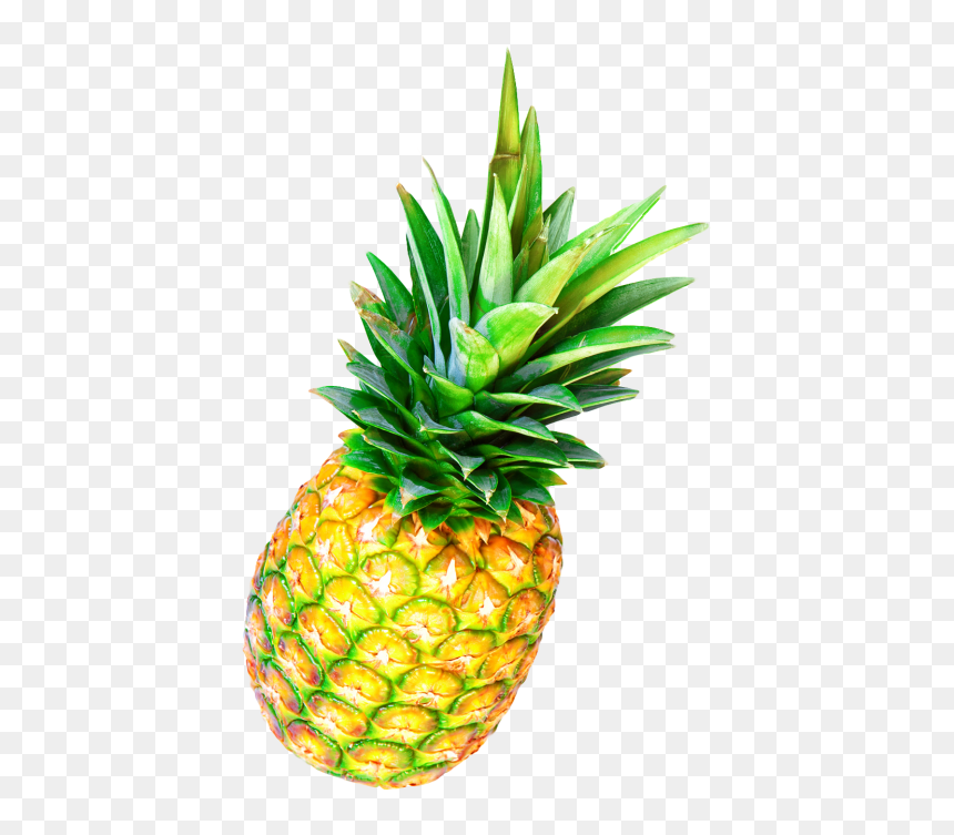 Pineapple Bun Pineapple Tart Pineapple Cake - Pineapple, HD Png Download - pineapples png