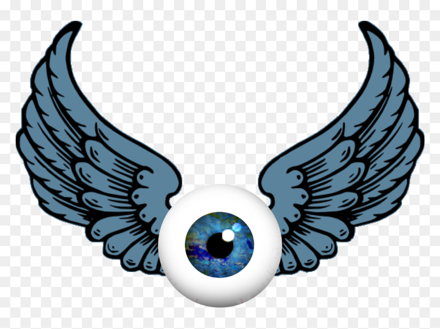 Transparent Steampunk Border Png - Angel Wings Picsart, Png Download - angel wings and halo png