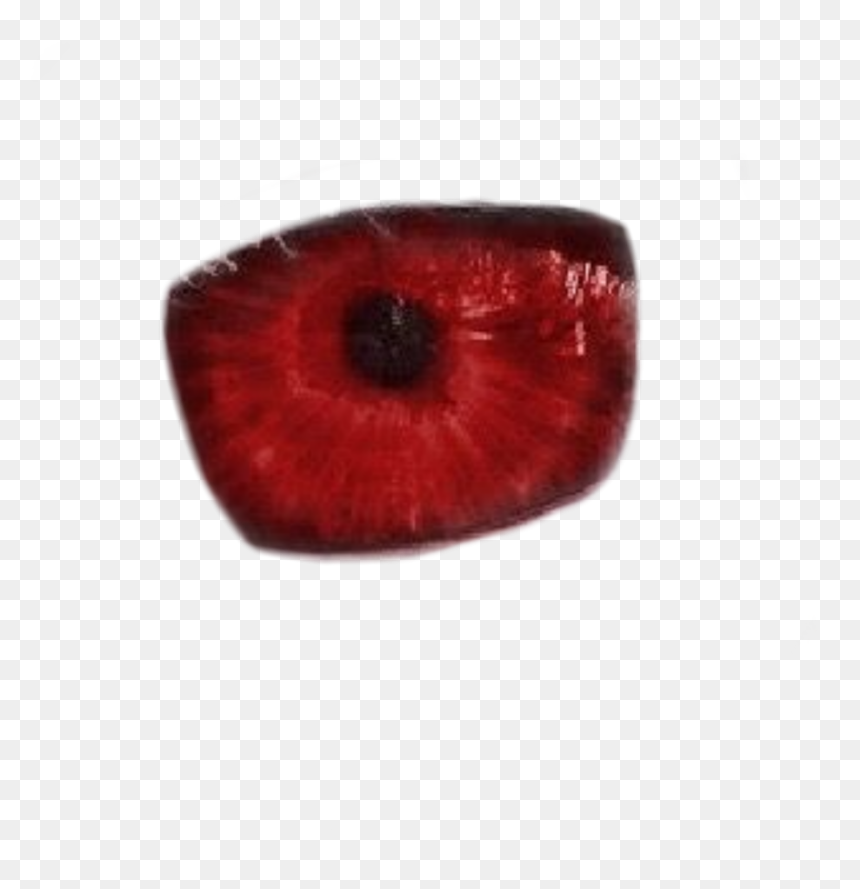 Macro Photography, HD Png Download - red eyes meme png