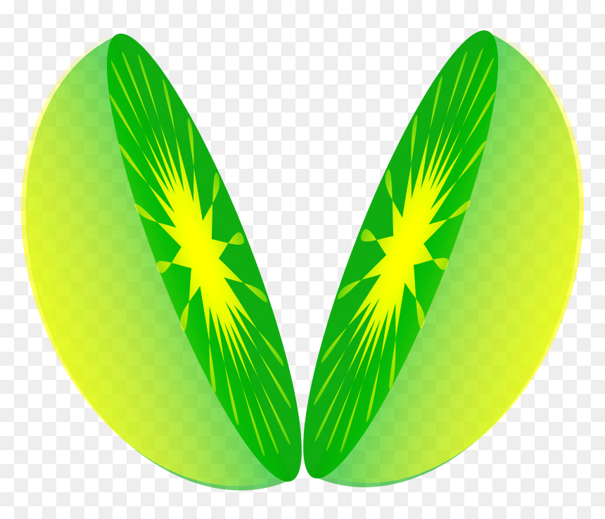 One Half Clipart, HD Png Download - lime wedge png
