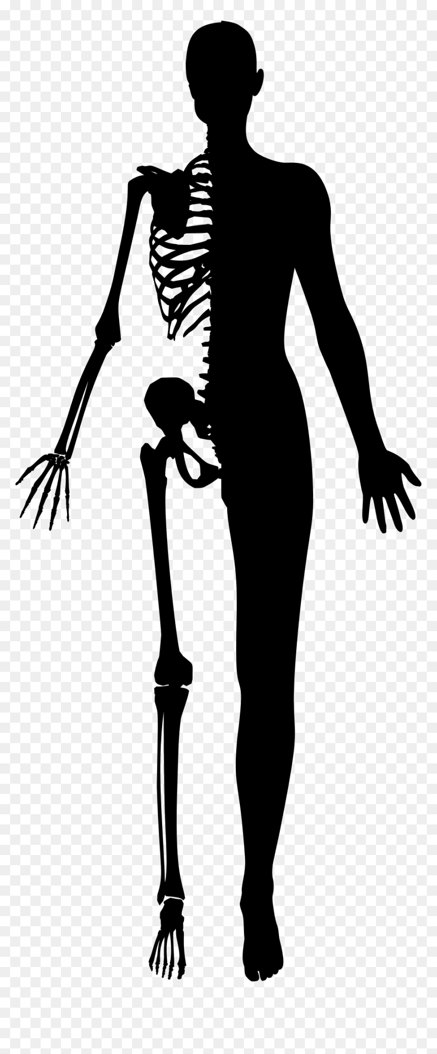 Half Woman Half Skeleton Silhouette Clip Arts - Half Human Half Skeleton, HD Png Download - woman standing silhouette png