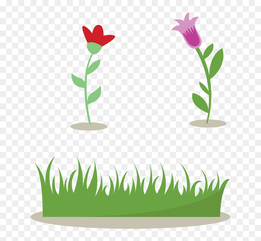Shrub And Flowers Transprent - Çalı Çizimi, HD Png Download - flowering shrub png