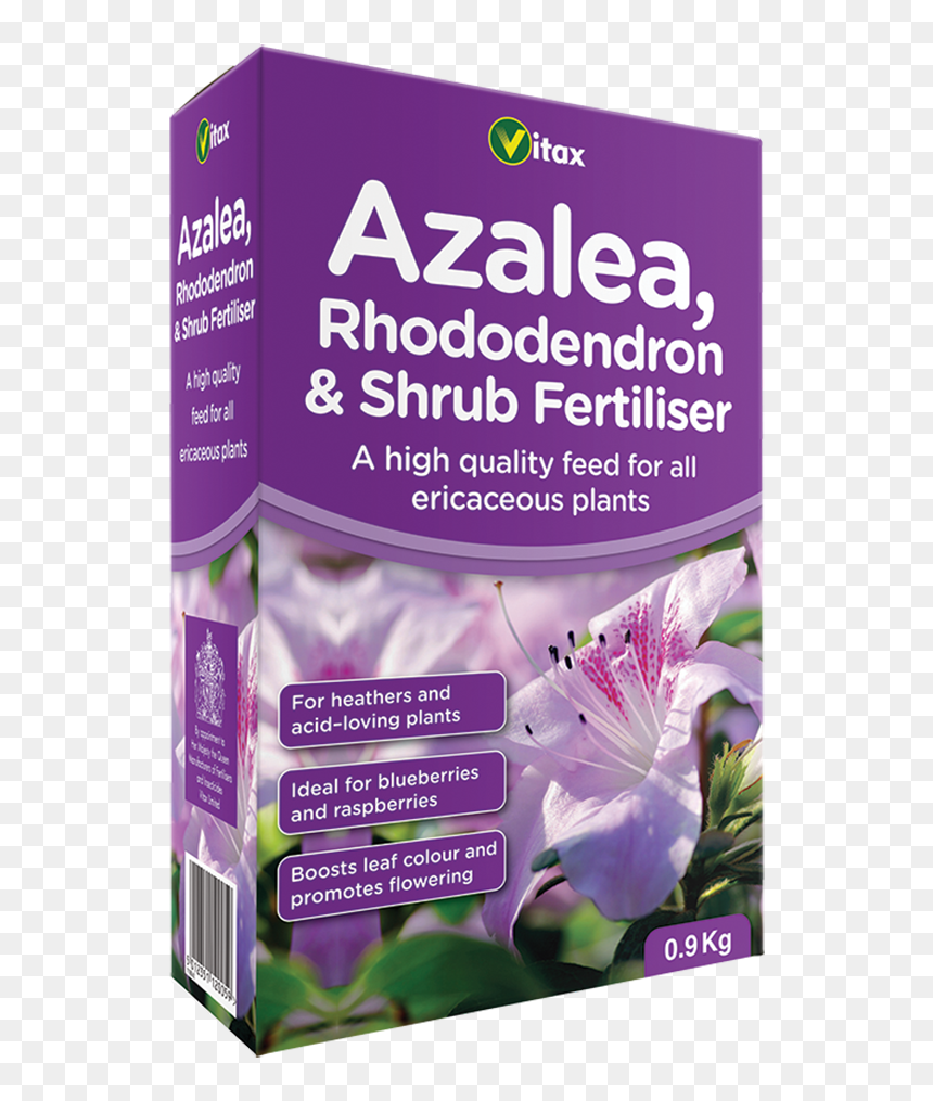 Shrub , Png Download - Iris, Transparent Png - flowering shrub png