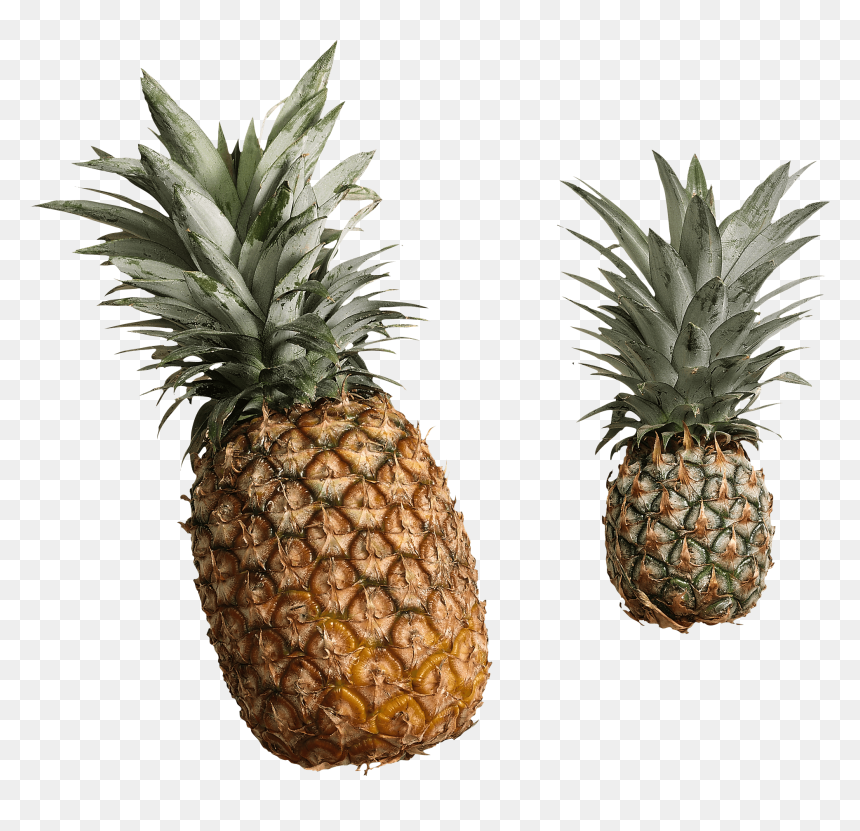 Foods,food,bromeliaceae - Pineapple, HD Png Download - pineapples png