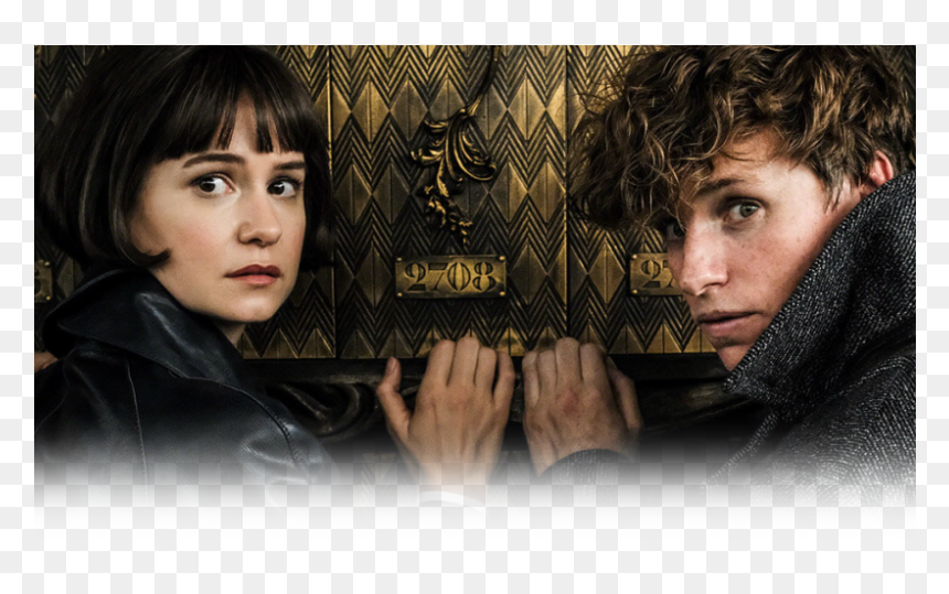 Claudia Kim Ezra Miller , Png Download - Newt Scamander, Transparent Png - ezra miller png