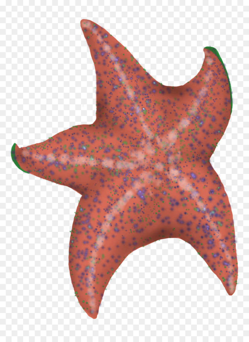 Starfish, HD Png Download - tina belcher png