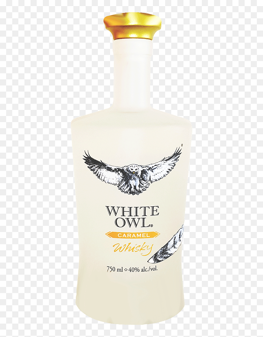Transparent White Owl Png - Hawk, Png Download - white owl png