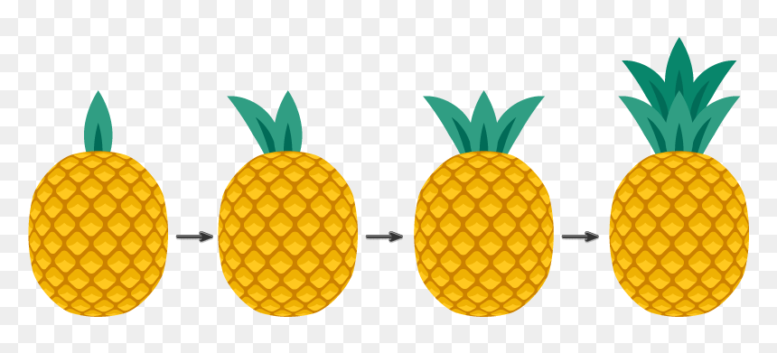 Independence Park, HD Png Download - pineapples png