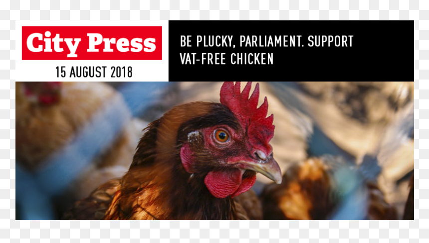 Guide To Poultry Diseases, HD Png Download - chicken head png