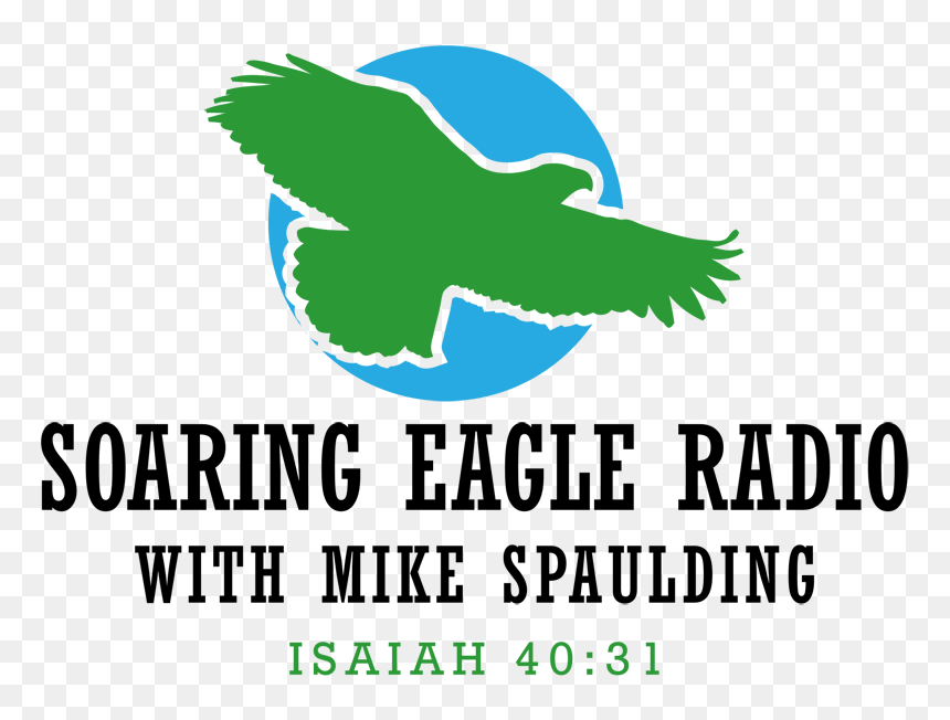 Check Out My Radio And Podcast Show Soaring Eagle Radio - Poster, HD Png Download - soaring eagle png