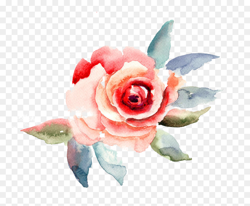 Travelling To Infinity - Rose Flower Illustration, HD Png Download - flower illustration png