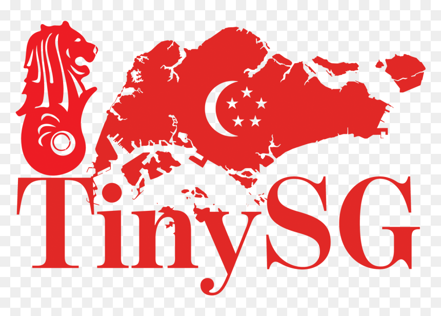 Tinysg - Singapore Ocr Ccr Rcr, HD Png Download - pool noodle png