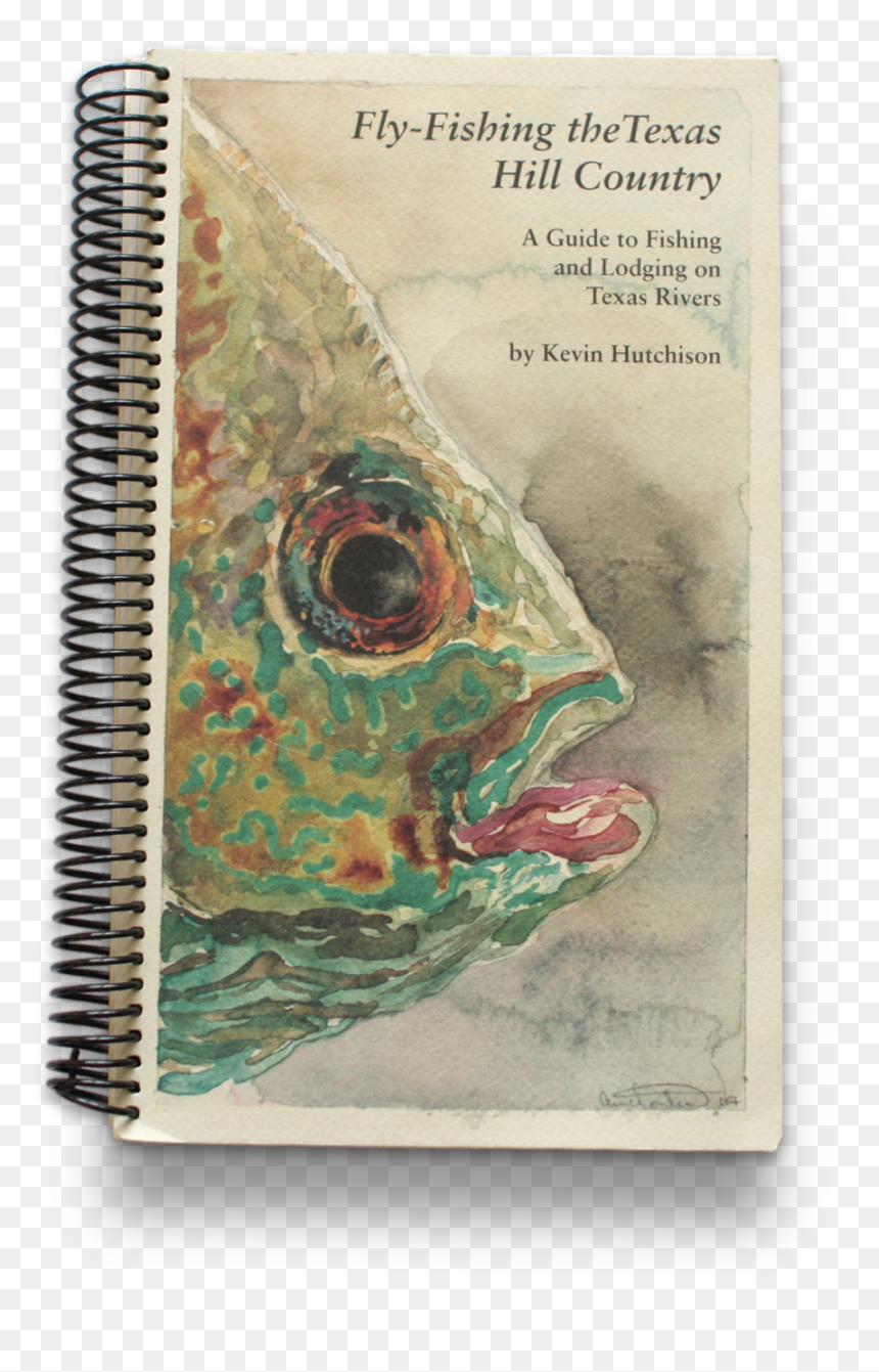 Hucho Taimen, HD Png Download - fish head png