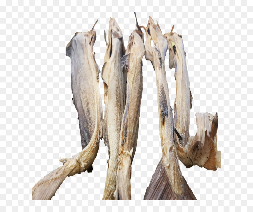 Dried Cod, HD Png Download - fish head png