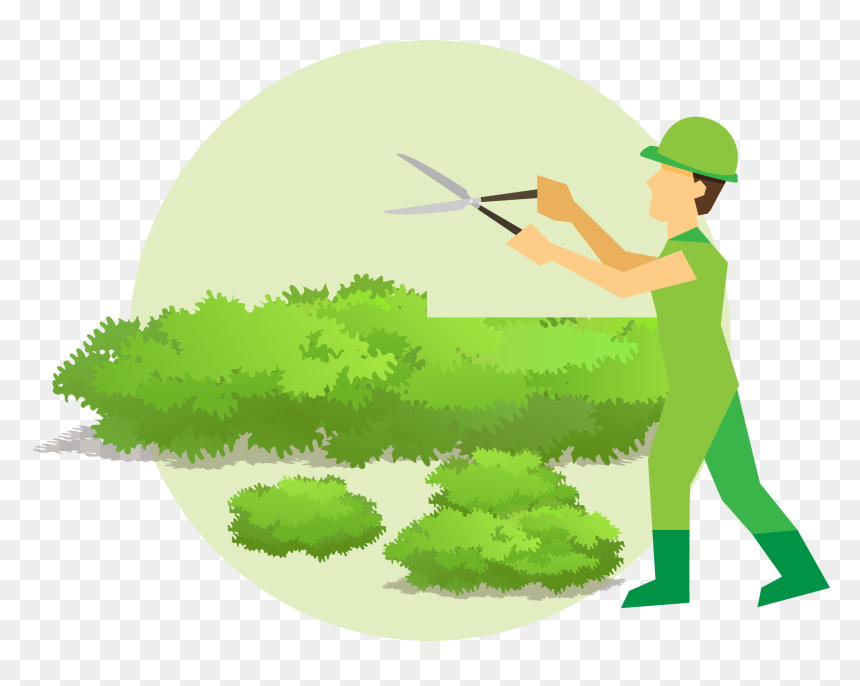 Clip Art, HD Png Download - hedges png