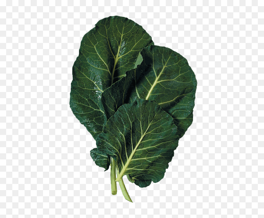 Thumb Image - Collared Greens, HD Png Download - collard greens png