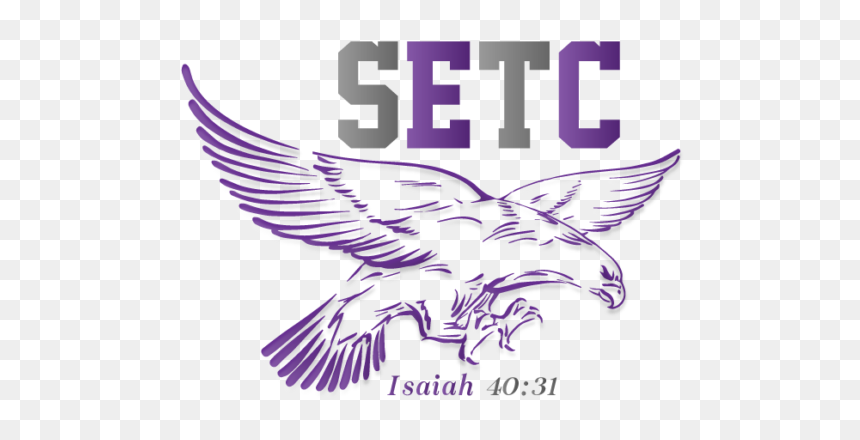 Eagle Vector, HD Png Download - soaring eagle png