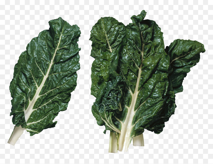 Chard Meaning, HD Png Download - collard greens png