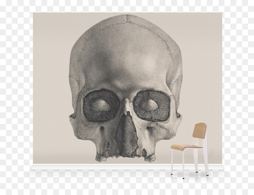 Afghan Whigs You Want Love, HD Png Download - human skull png