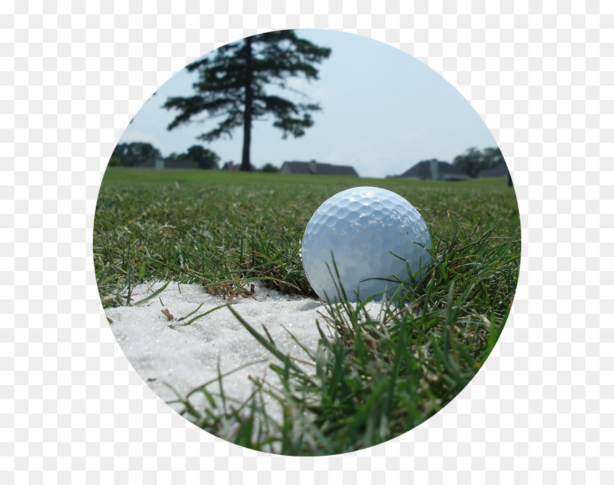 Grass , Png Download - Grass, Transparent Png - golf grass png