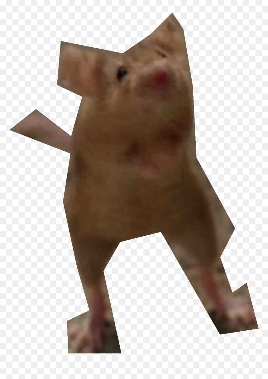 Nick Cannon Png - Domestic Pig, Transparent Png - nick fury png