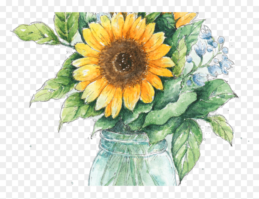 Jar Drawing Ubisafe - Sunflower In Vase Painting, HD Png Download - mason jars png