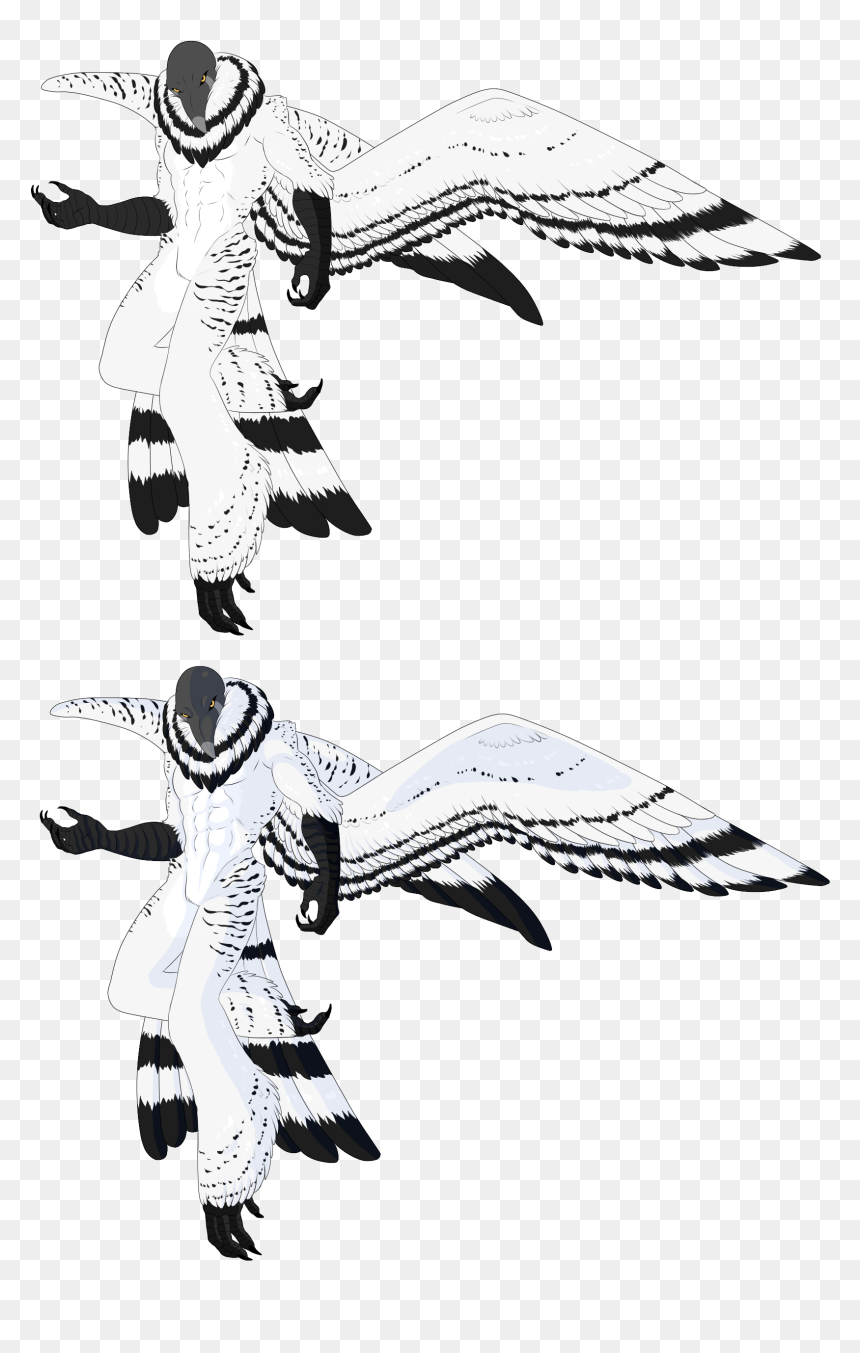 Custom Monster Man 8 Snowy Owl By Shadowinkwarrior - White Owl Monster, HD Png Download - white owl png