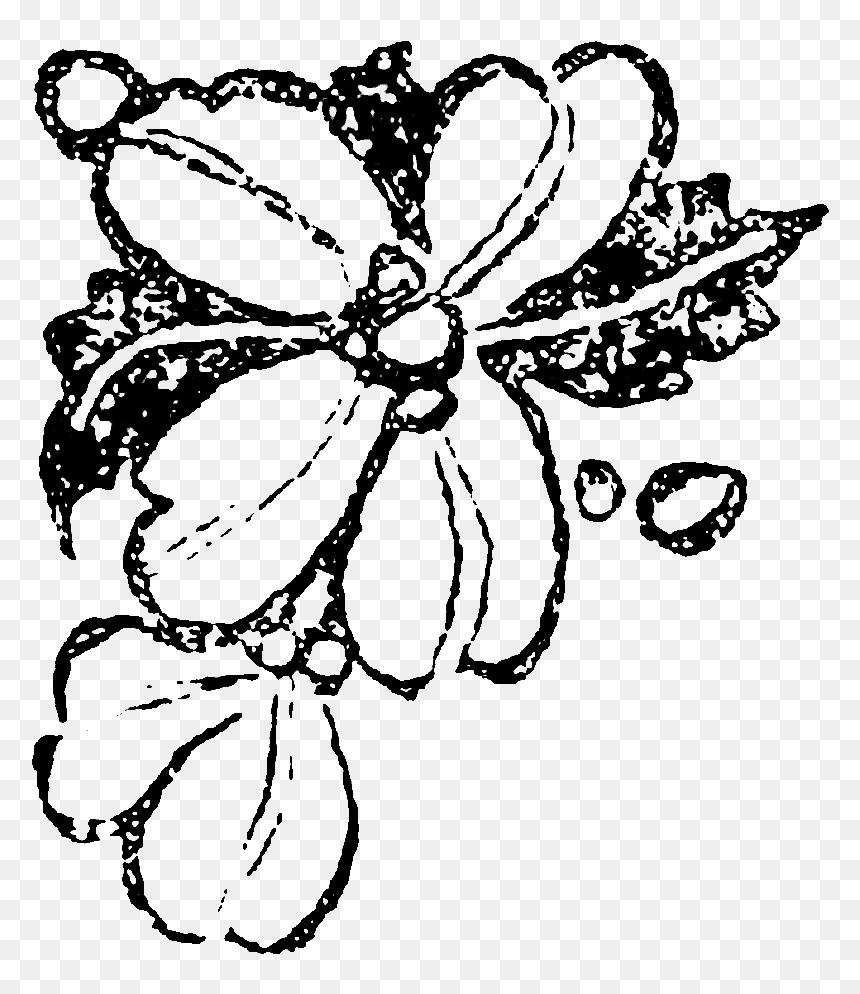These Digital Flower Illustrations Can Be Used To Create - Illustration, HD Png Download - flower illustration png