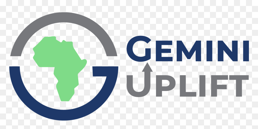 How Gemini Enterprises Africa Supports Startups - The American University In Cairo, HD Png Download - gemini symbol png