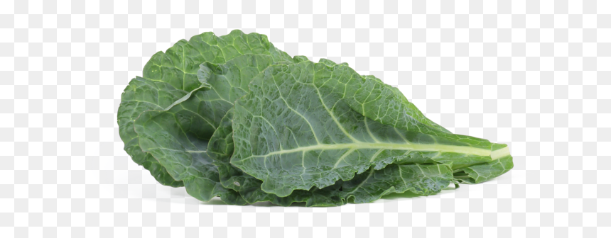 Chard, HD Png Download - collard greens png