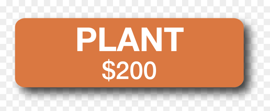 Your Support Will Fund Enough Vegetable Plant Starts - Graphic Design, HD Png Download - vegetable plant png