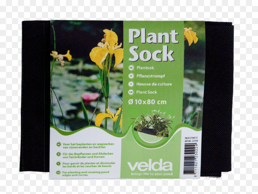 Transparent Water Plants Png - Plant Sock Velda, Png Download - water plants png
