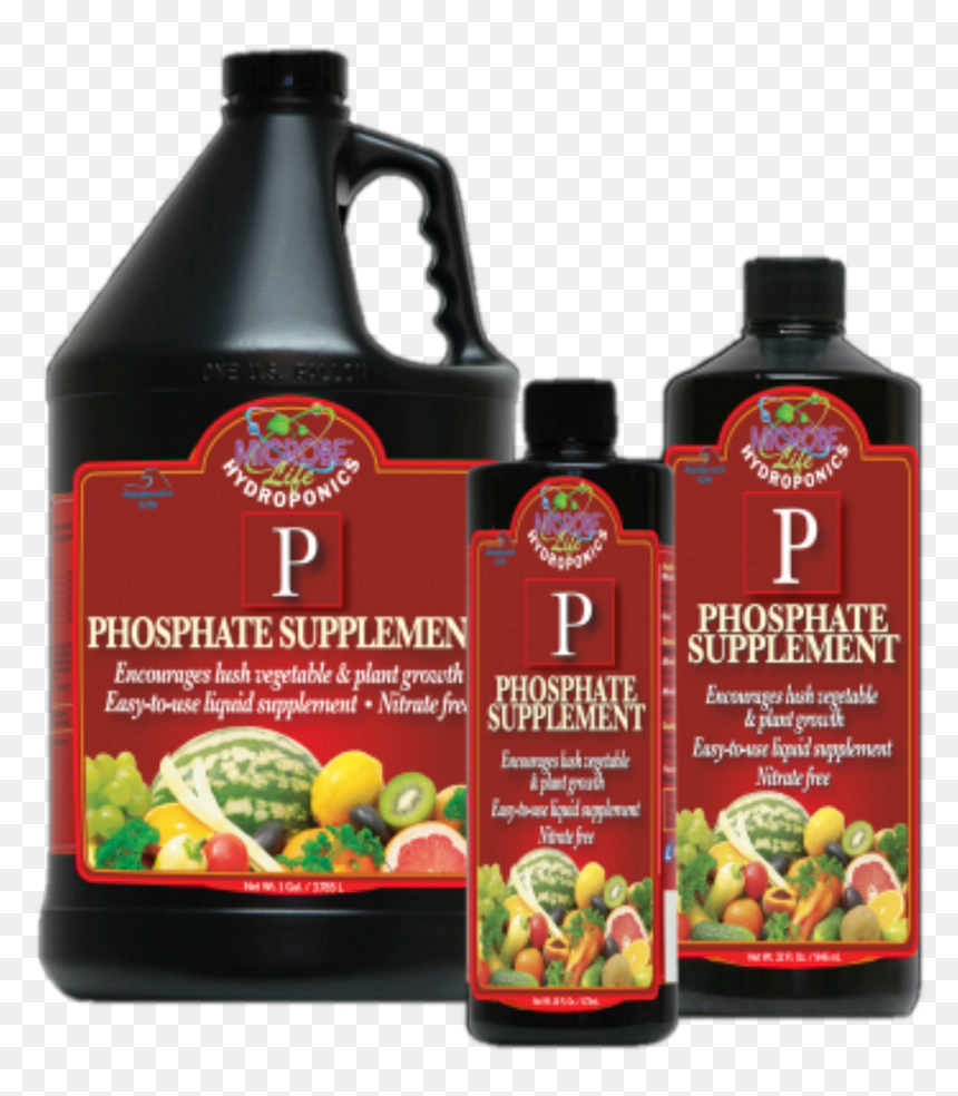 Img 1732 - Hydroponics, HD Png Download - vegetable plant png
