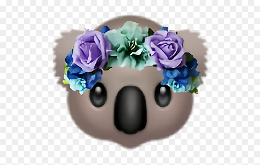 #koala #flower #flowercrown - Rose, HD Png Download - koala emoji png