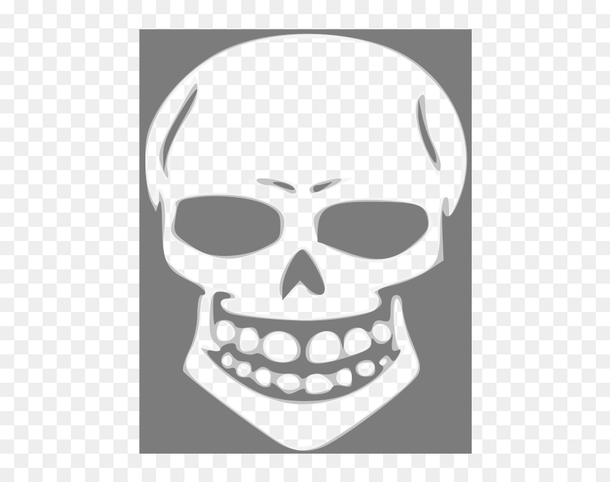 Skull Human X-ray - Die Toten Hosen, HD Png Download - human skull png