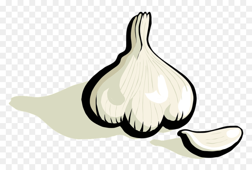 Garlic Clip Art, HD Png Download - vegetable plant png