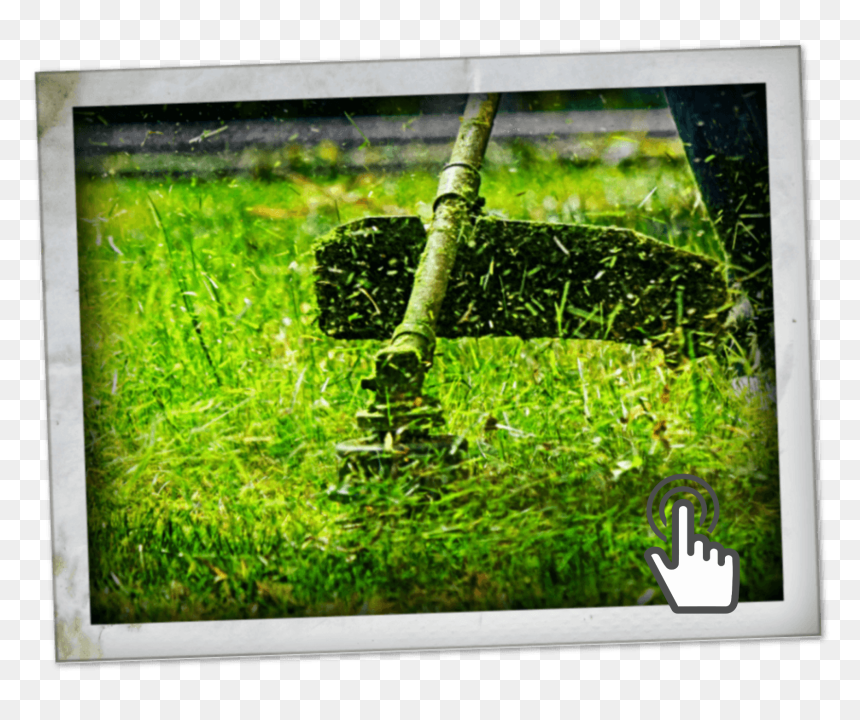 Imagens Corte De Grama, HD Png Download - shrubbery png