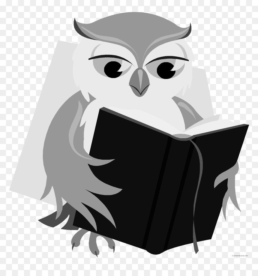 Clipart Smart Owl Colored Book Jpg Free Owl With Book - Black And White Clipart Owl With Book, HD Png Download - white owl png