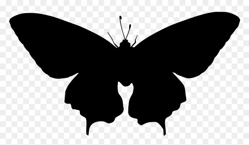 Scalable Vector Graphics, HD Png Download - butterfly wing png
