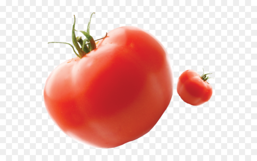 Felfel - Plum Tomato, HD Png Download - bob the tomato png