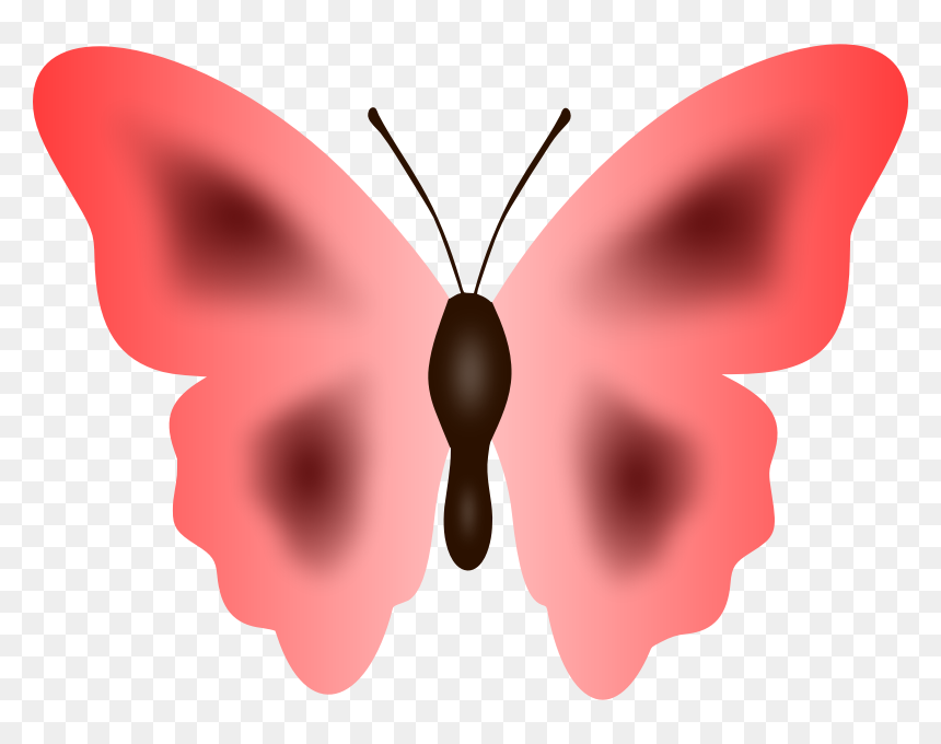 Butterfly 33 - Big Colour Butterfly Png, Transparent Png - butterfly wing png