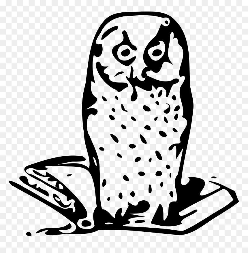 Owl On Book Clip Arts - Sowa Mądrość, HD Png Download - white owl png